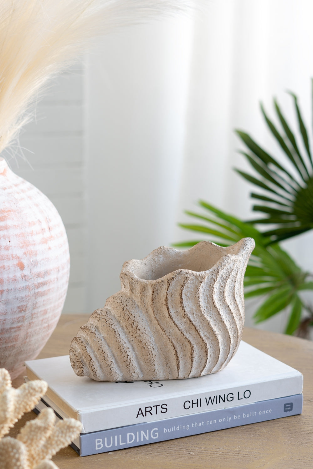 Conch Shell Planter with Textured Finish