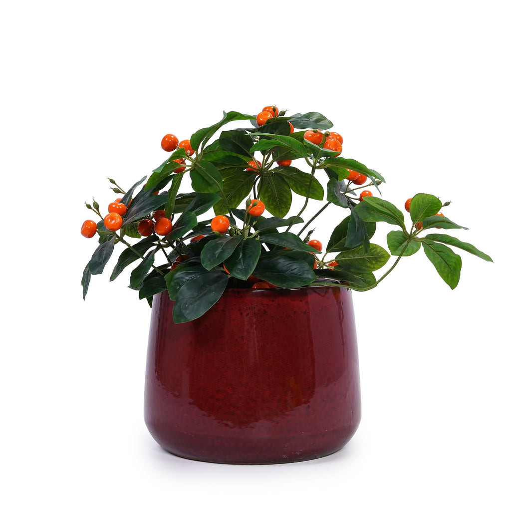 Faro Handmade Ceramic Planter, Set of 4