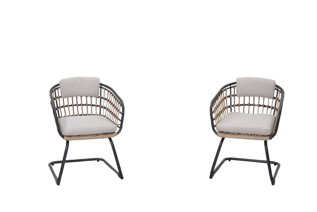 Maristella Outdoor Wicker Dining Chairs, Set of 2