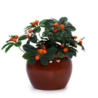Talvik Handmade Ceramic Planter, Set of 3