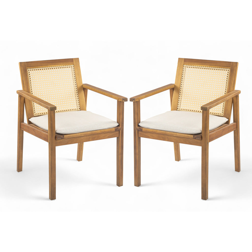 Preston Outdoor Dining Chair with Cushion, Set of 2