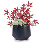 Solano Handmade Glazed Ceramic Planter, Set of 3