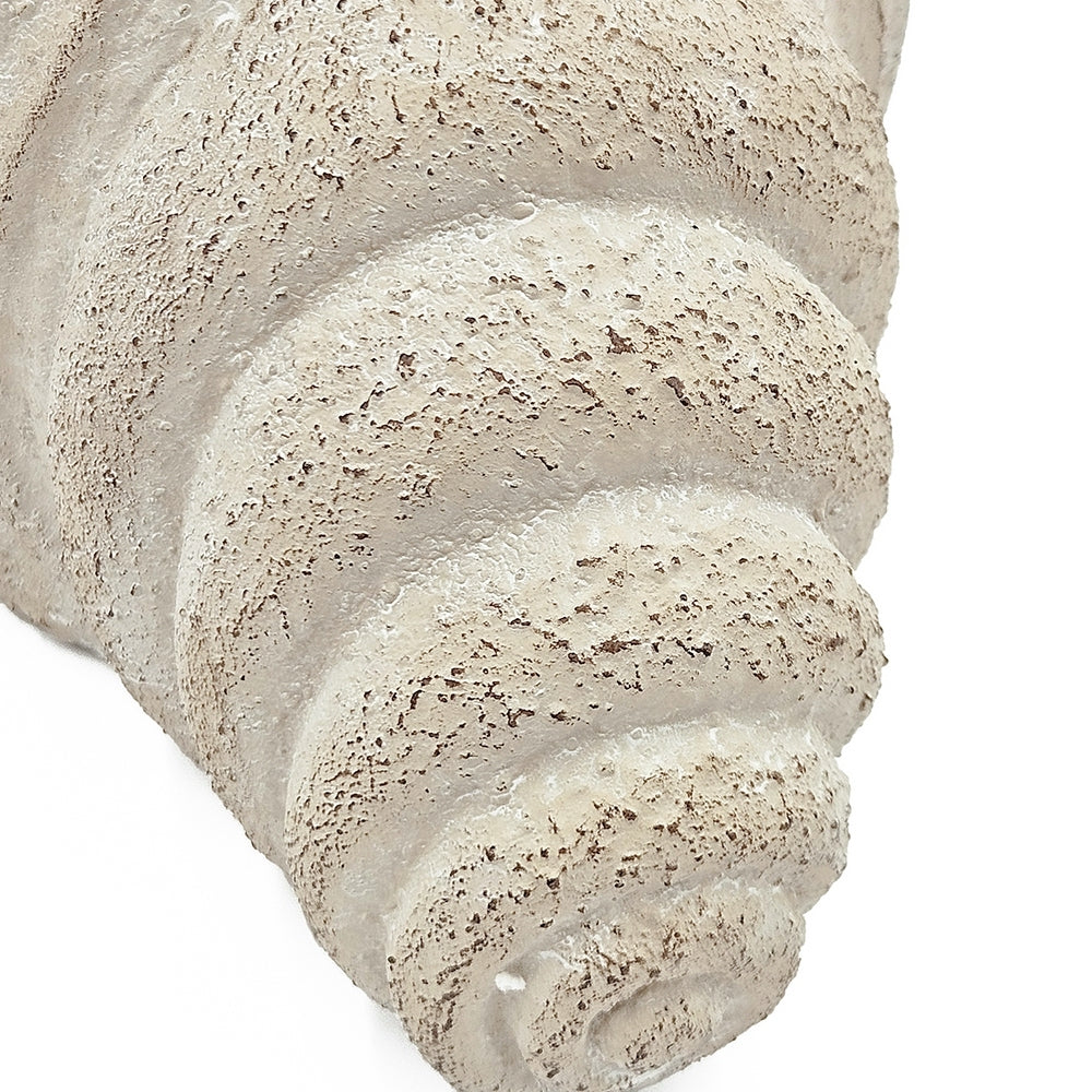Conch Shell Planter with Textured Finish
