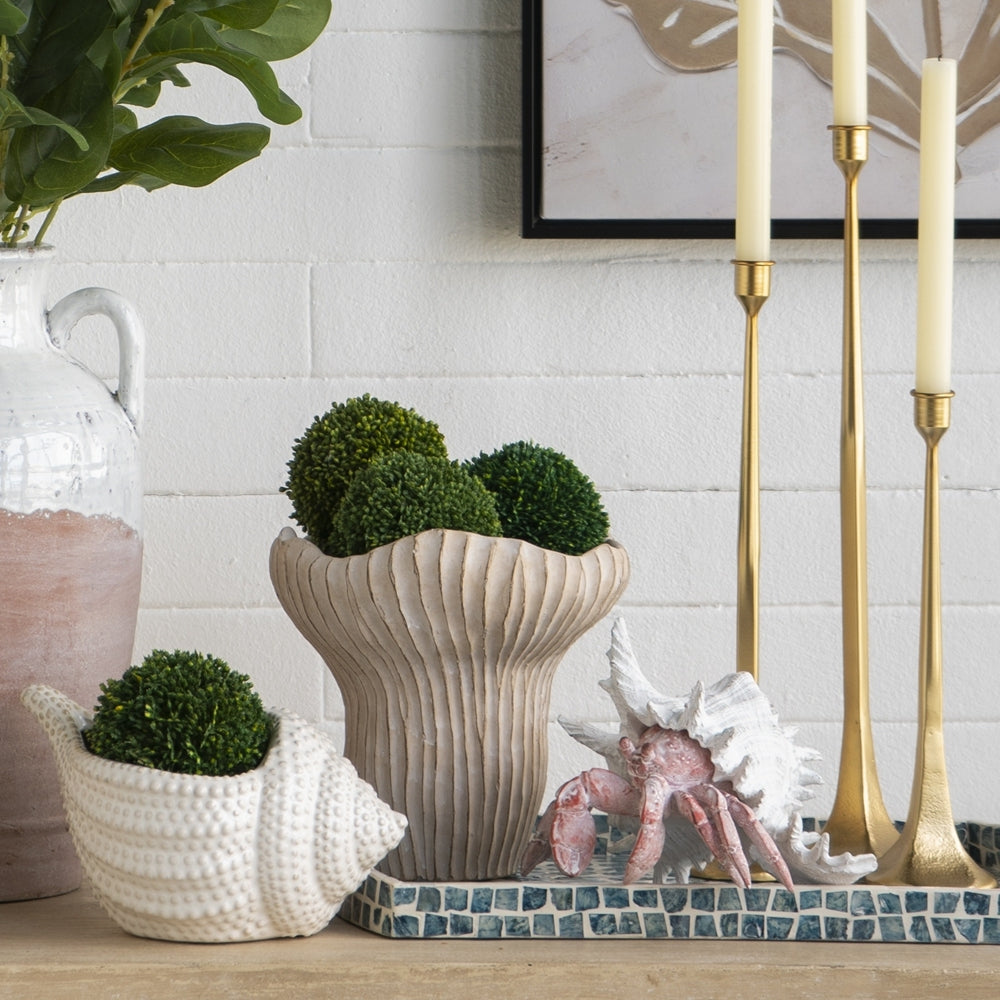 Coral Planter with Textured Finish