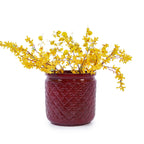 Rian Handmade Ceramic Flower Pot, Set of 3