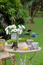 Conch Shell Planter with Textured Finish