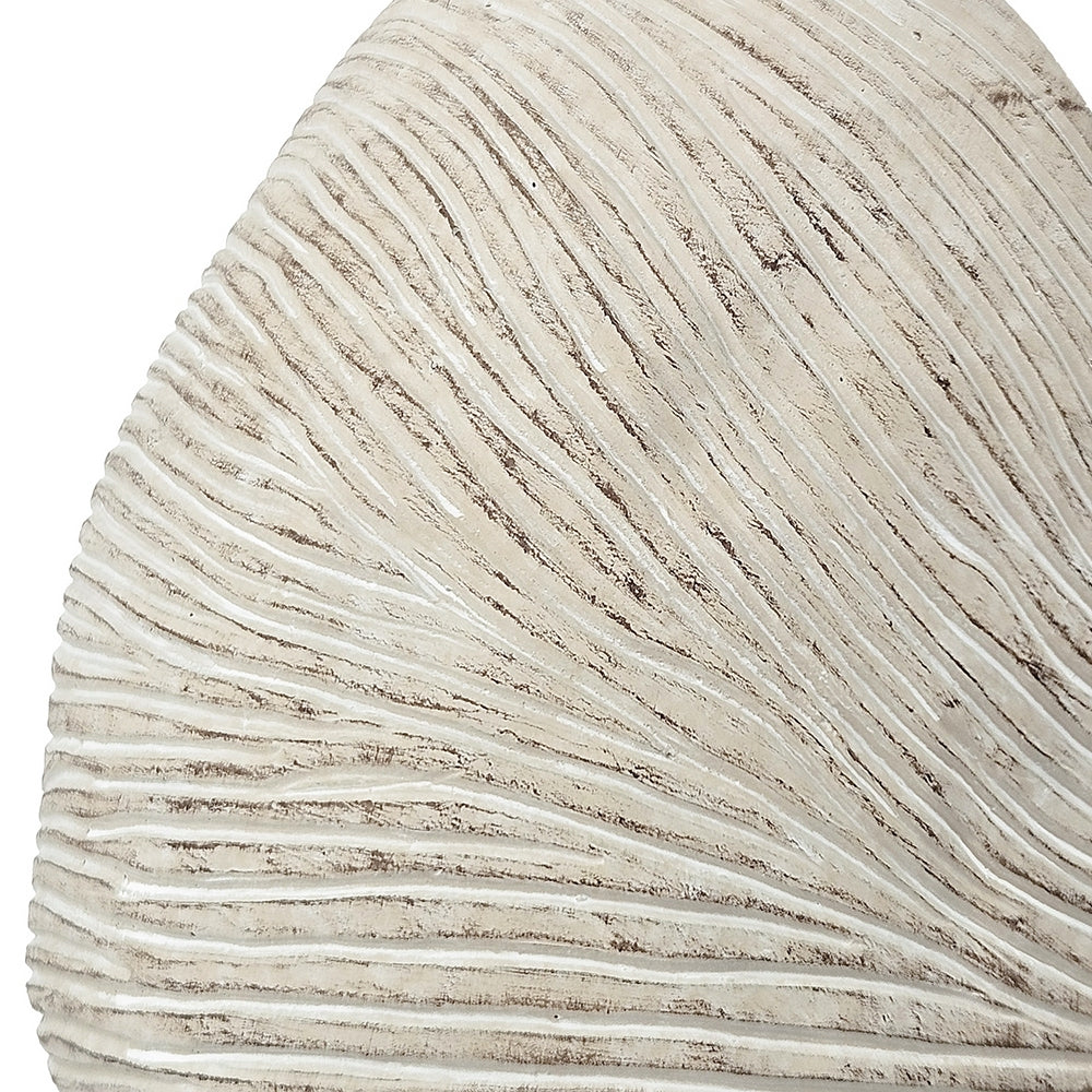Nautilus Shell Planter with Textured Finish
