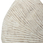 Nautilus Shell Planter with Textured Finish