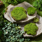 Faux Moss Pad, Set of 3