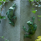 Stone Garden Frog Wall Accent, Set of 2