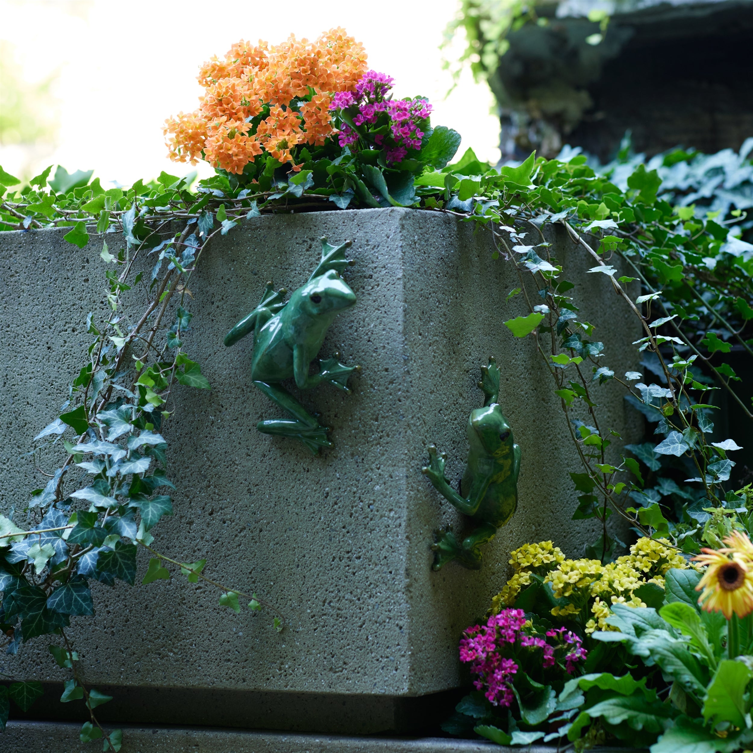 Stone Garden Frog Wall Accent, Set of 2