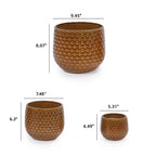 Bex Handmade Ceramic Planter, Set of 3