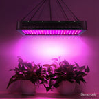 Green Fingers 2000W Grow Light LED Full Spectrum Indoor Plant All