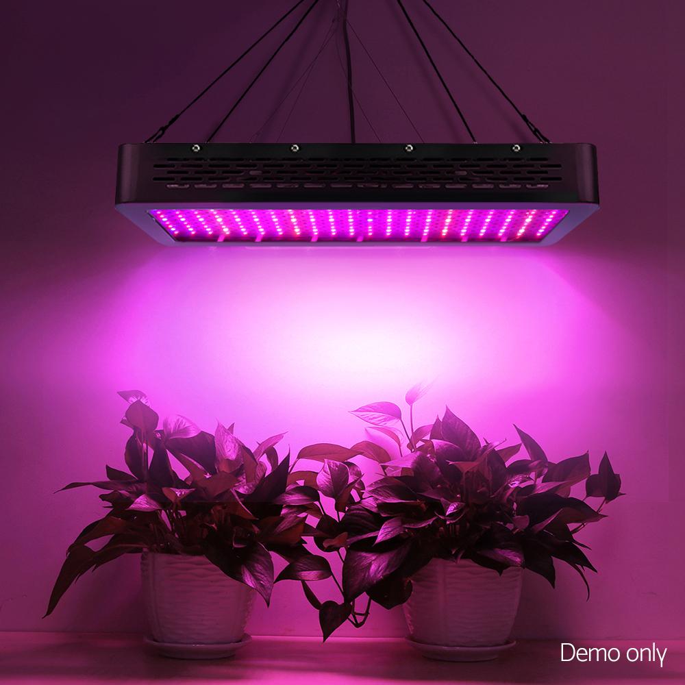 Green Fingers 2000W Grow Light LED Full Spectrum Indoor Plant All