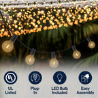 25-Light Indoor/Outdoor 25 ft. Contemporary Rustic Incandescent G40 Bistro Globe Bulb String Lights (Set of 2)
