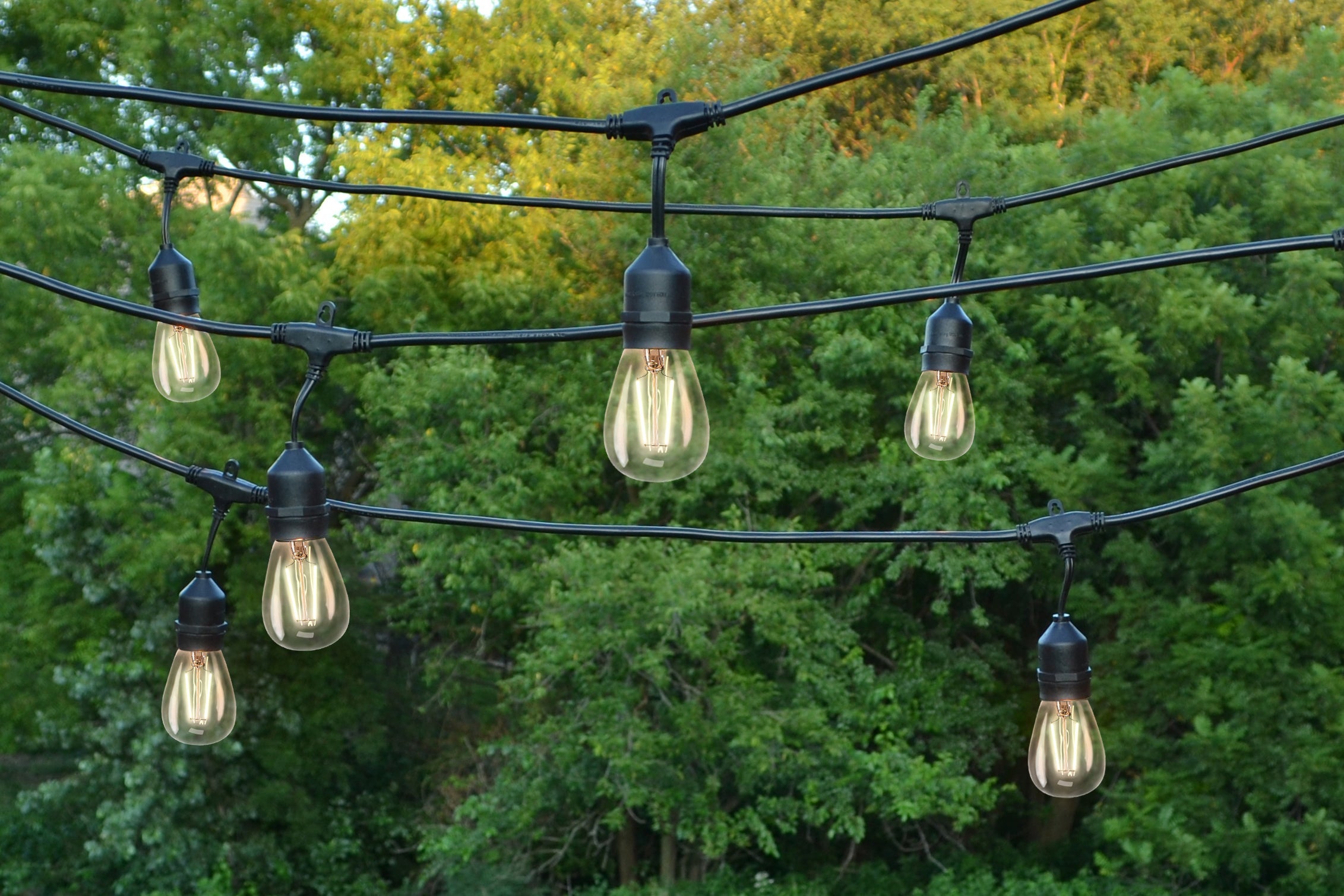 Set of 10 Warm White LED Edison Patio Lights
