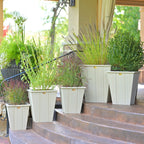 Elite Planter from LuxCraft
