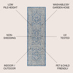 Sinjuri Medallion Textured Weave Indoor/Outdoor Area Rug