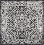 Sinjuri Medallion Textured Weave Indoor/Outdoor Area Rug