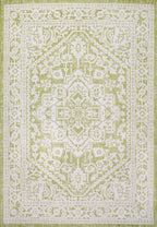 Sinjuri Medallion Textured Weave Indoor/Outdoor Area Rug