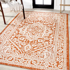 Sinjuri Medallion Textured Weave Indoor/Outdoor Area Rug