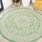 Sinjuri Medallion Textured Weave Indoor/Outdoor Area Rug