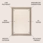Lucia Classic Diamond Border Indoor/Outdoor Area Rug