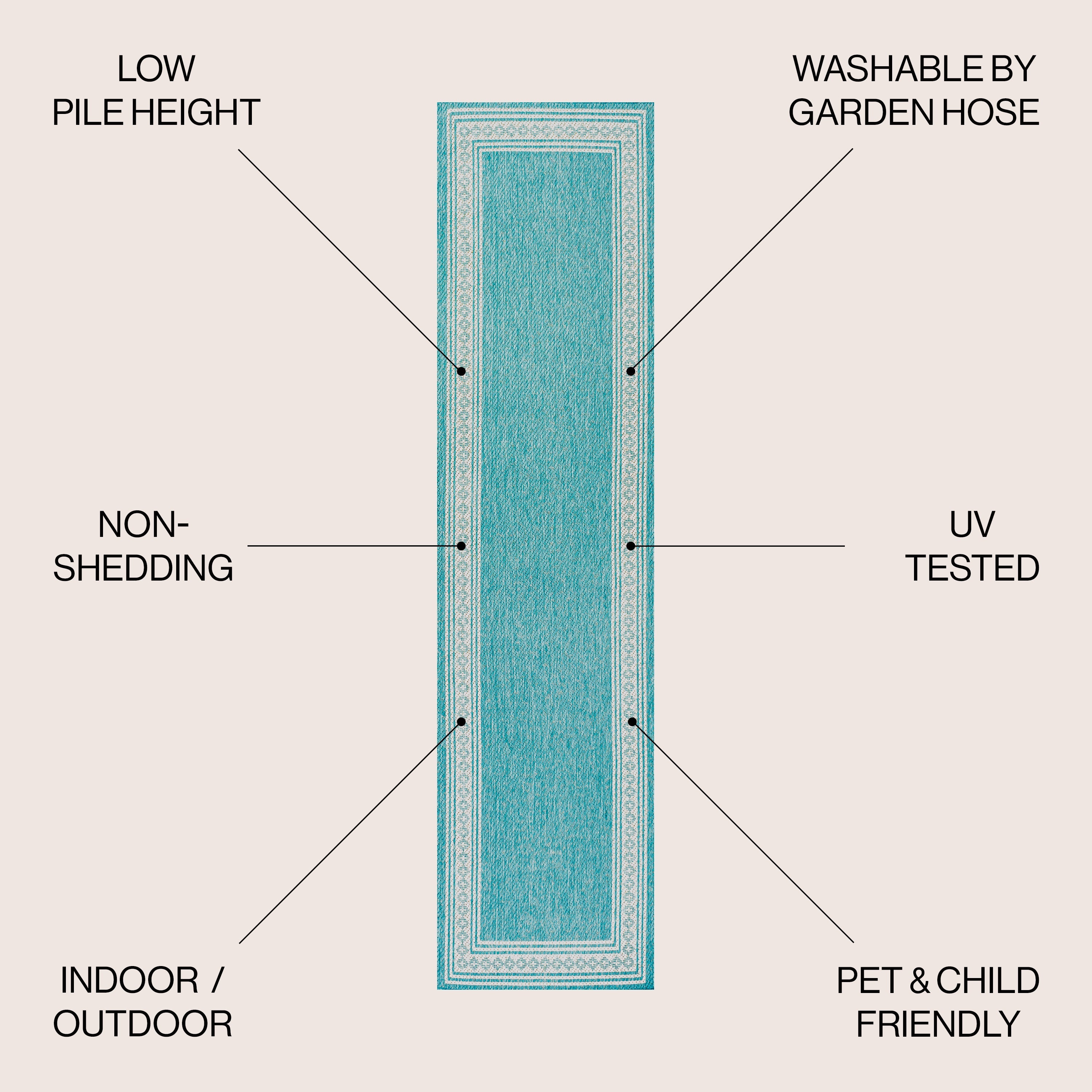 Lucia Classic Diamond Border Indoor/Outdoor Area Rug