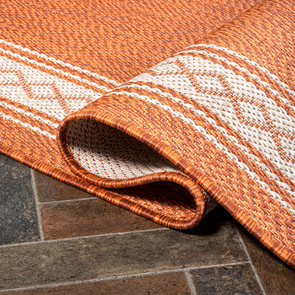 Lucia Classic Diamond Border Indoor/Outdoor Area Rug