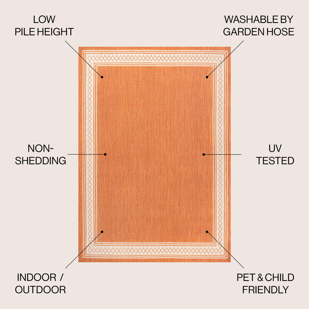 Lucia Classic Diamond Border Indoor/Outdoor Area Rug