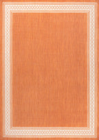 Lucia Classic Diamond Border Indoor/Outdoor Area Rug