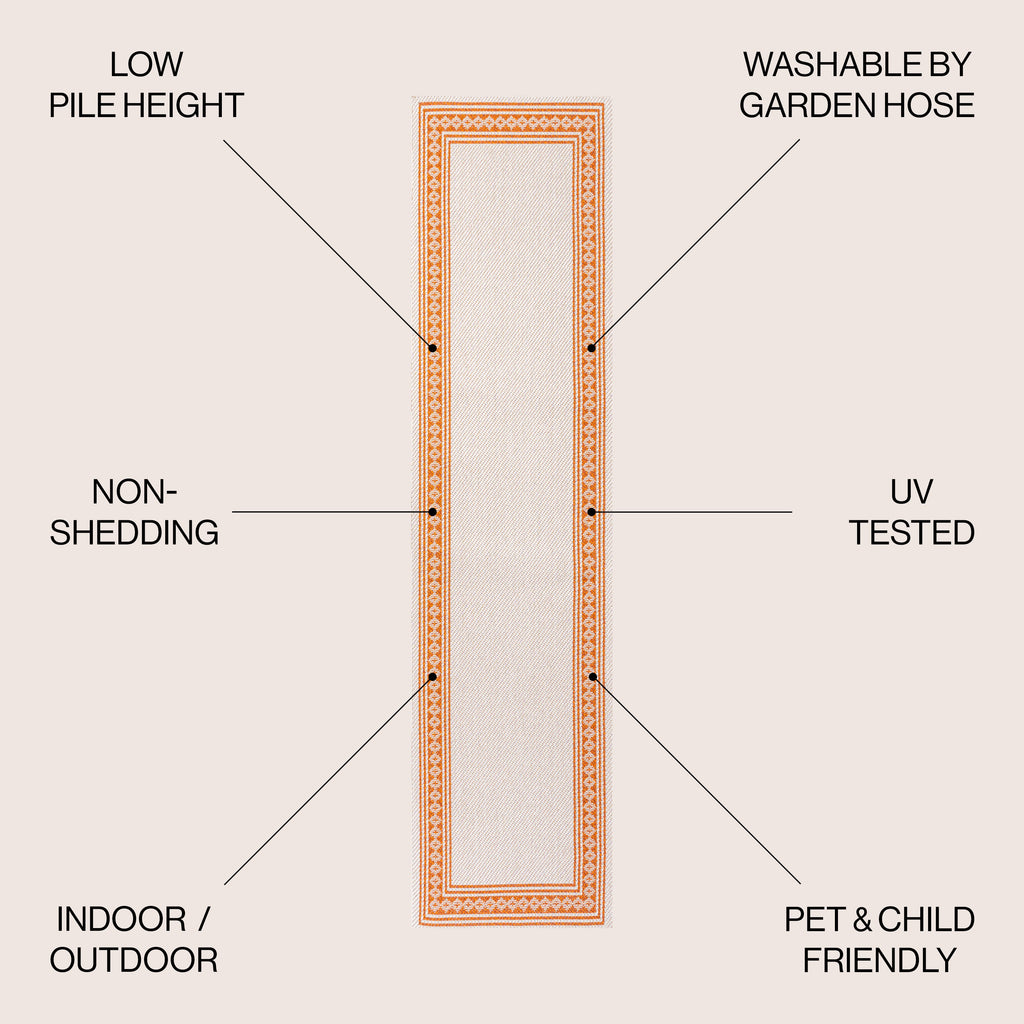 Lucia Classic Diamond Border Indoor/Outdoor Area Rug