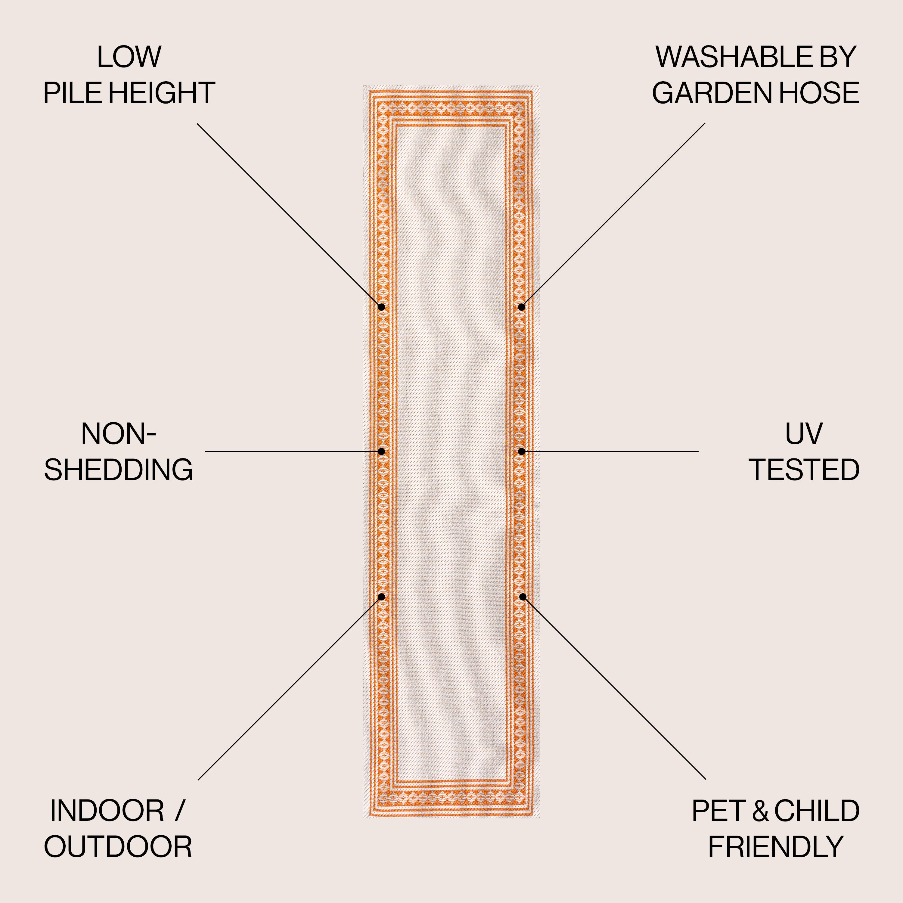 Lucia Classic Diamond Border Indoor/Outdoor Area Rug