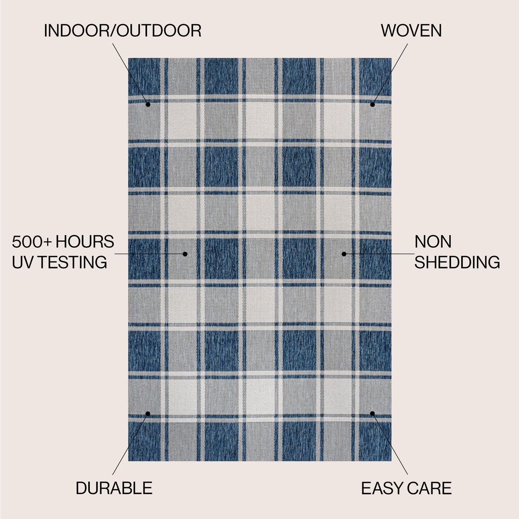 Sabine Traditional Farmhouse Bold Gingham Indoor/Outdoor Runner Rug