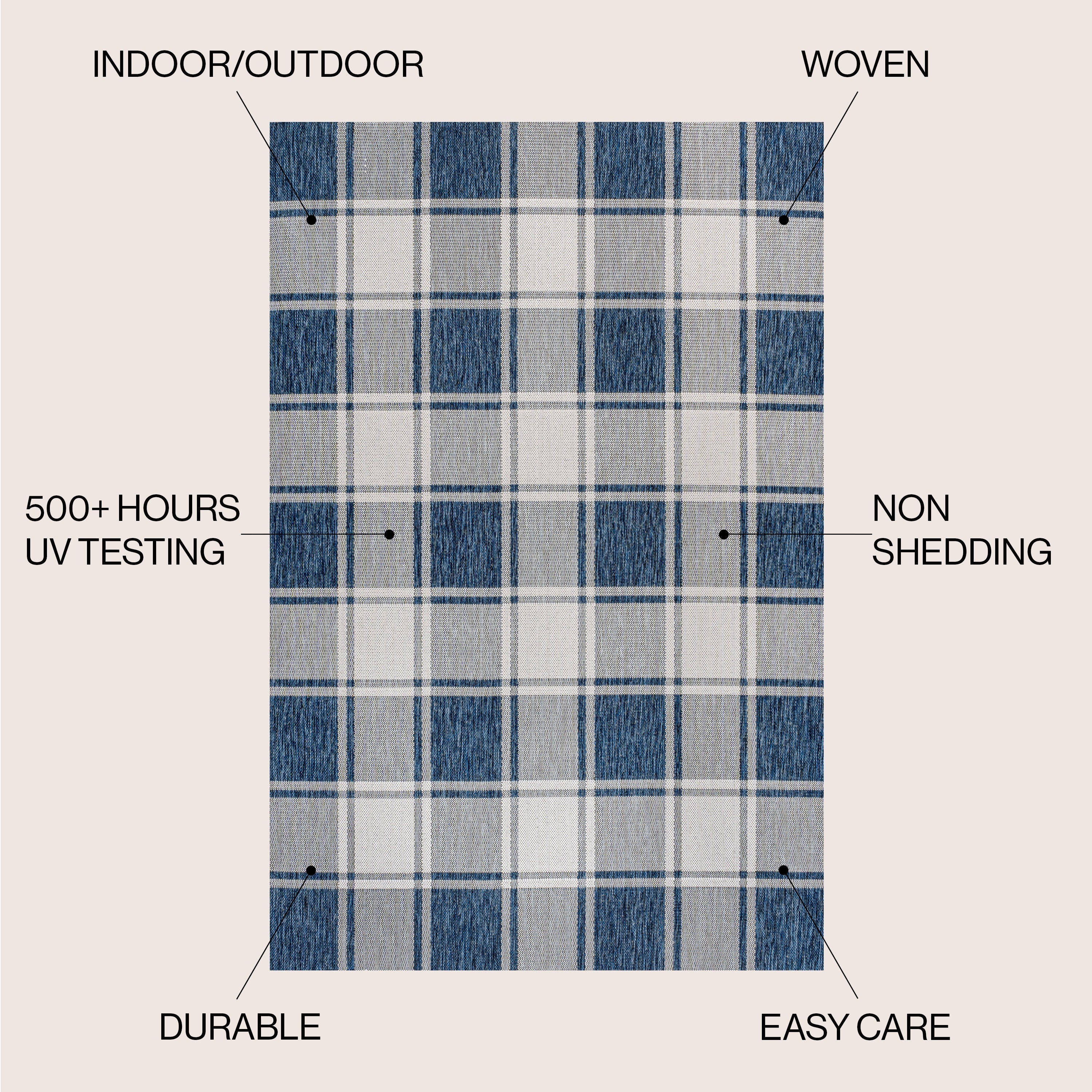 Sabine Traditional Farmhouse Bold Gingham Indoor/Outdoor Runner Rug