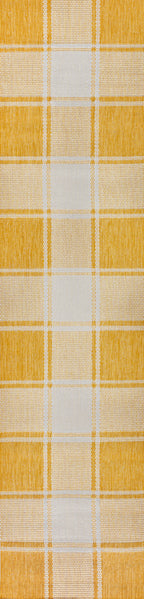 Sabine Traditional Farmhouse Bold Gingham Indoor/Outdoor Area Rug