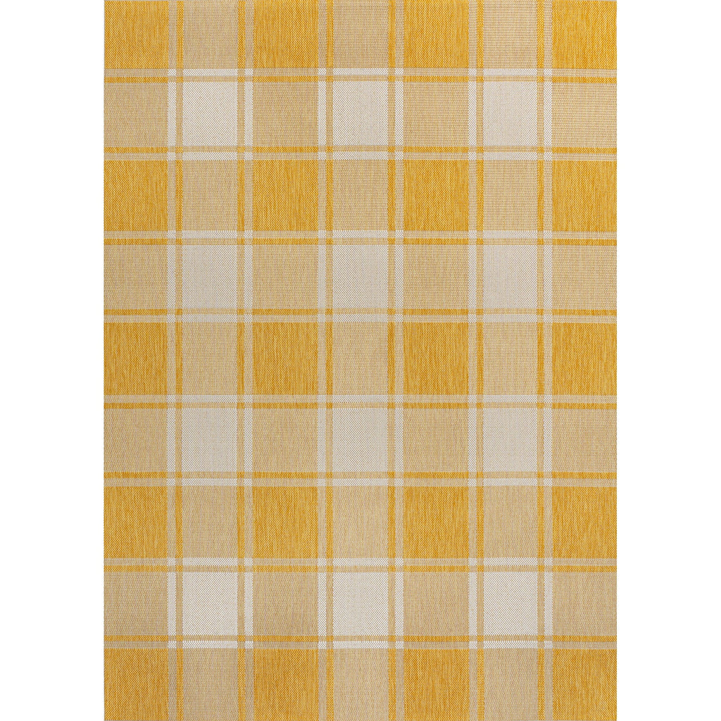 Sabine Traditional Farmhouse Bold Gingham Indoor/Outdoor Runner Rug