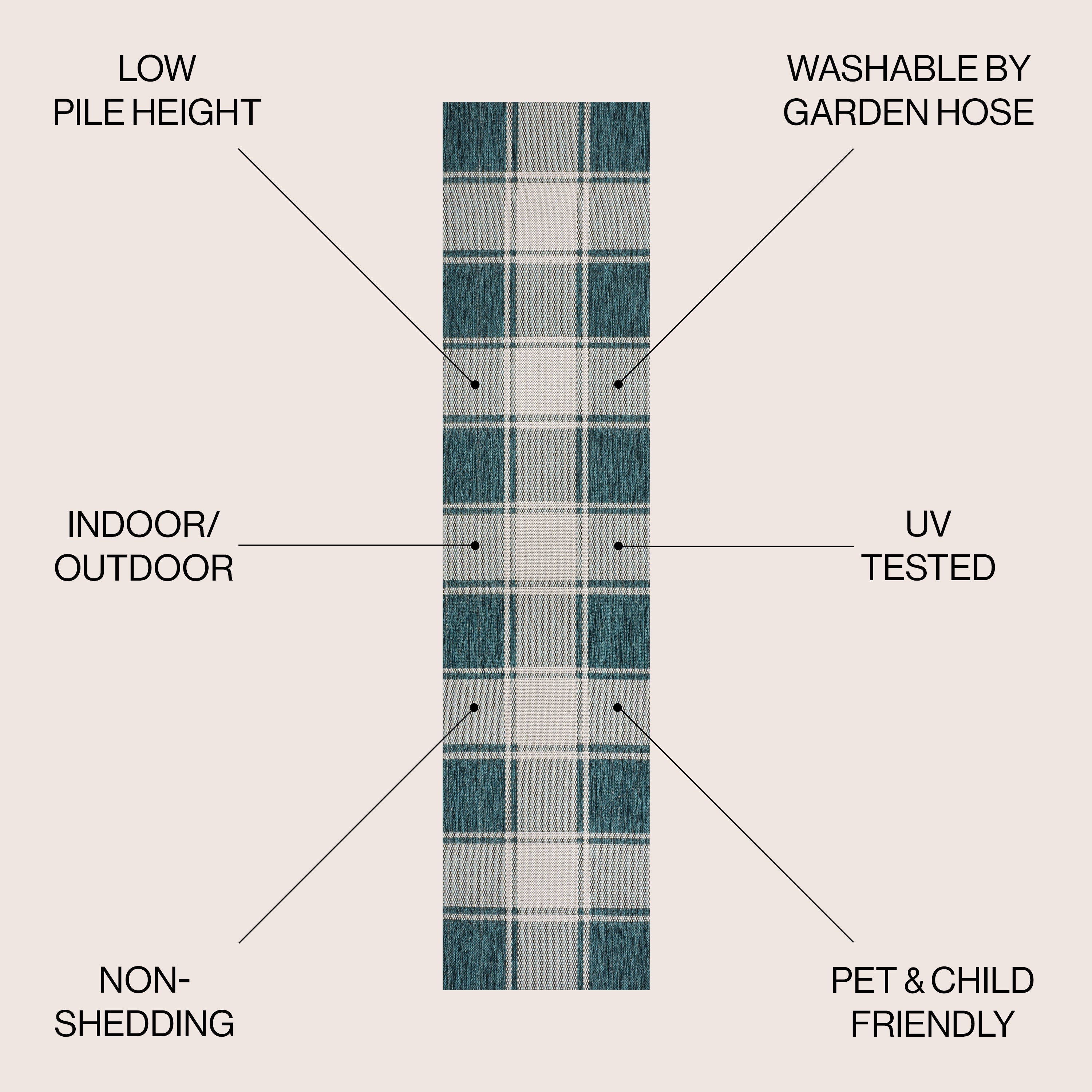 Sabine Traditional Farmhouse Bold Gingham Indoor/Outdoor Runner Rug