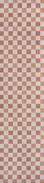 Aimee Traditional Cottage Checkerboard Indoor/Outdoor Area Rug