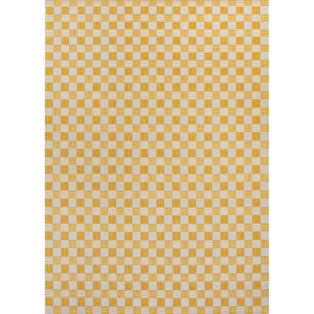 Aimee Traditional Cottage Checkerboard Indoor/Outdoor Runner Rug