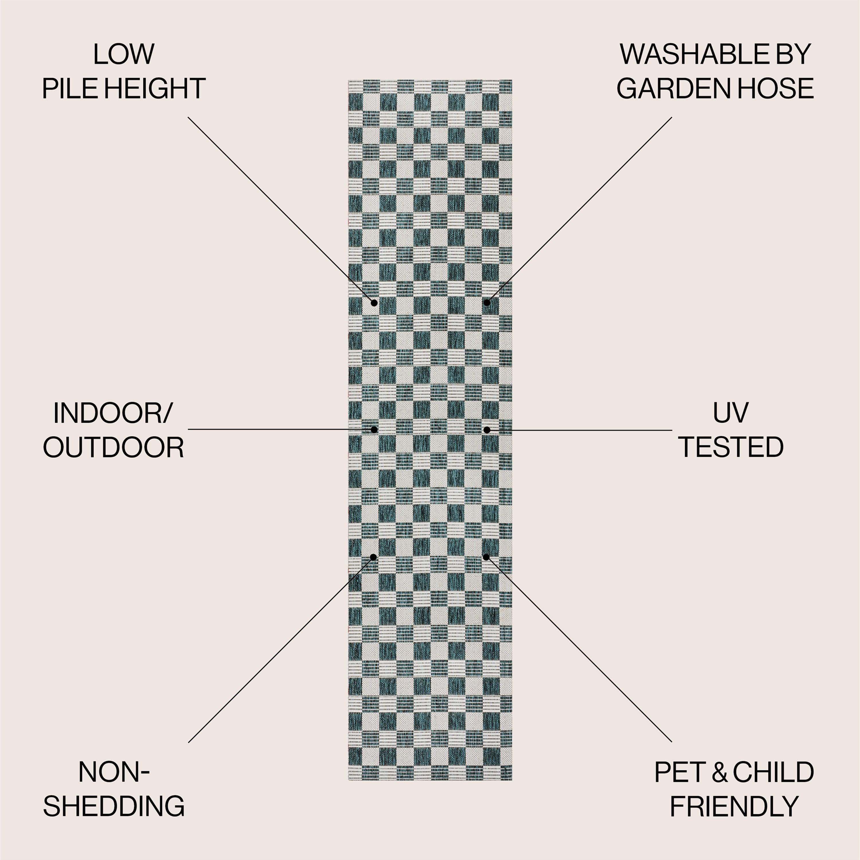 Aimee Traditional Cottage Checkerboard Indoor/Outdoor Area Rug