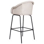 Ladd Outdoor Metal Wicker Barstool, Set of 2
