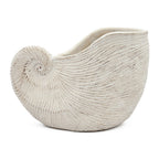 Nautilus Shell Planter with Textured Finish