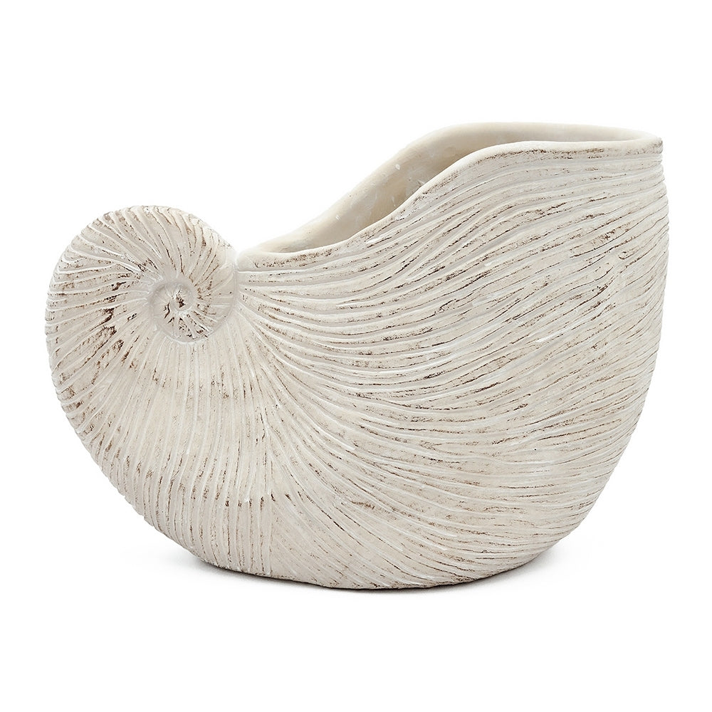 Nautilus Shell Planter with Textured Finish