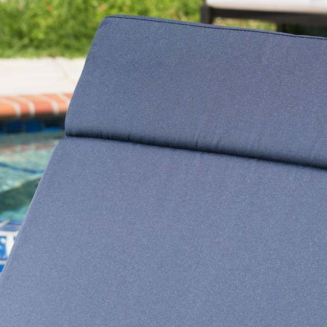 Salem Outdoor Chaise Lounge Cushion, Set of 2