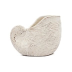 Nautilus Shell Planter with Textured Finish