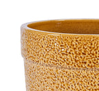 Aven Handmade Ceramic Planter, Set of 3