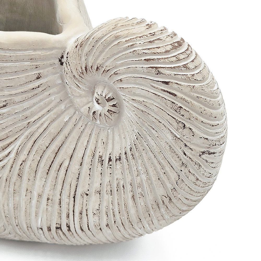Nautilus Shell Planter with Textured Finish