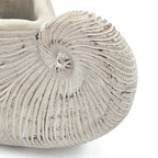 Nautilus Shell Planter with Textured Finish
