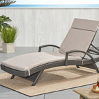 Salem Outdoor Chaise Lounge Cushion, Set of 2